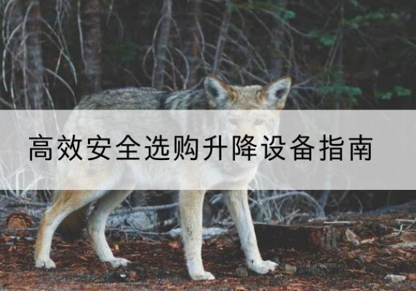 东河升降货梯厂家推荐-*安全选购升降设备指南
