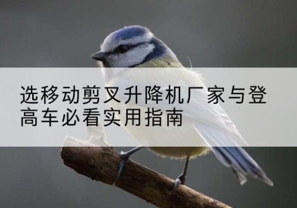 东河电动升降机厂家-选移动剪叉升降机厂家与登高车必看实用指南