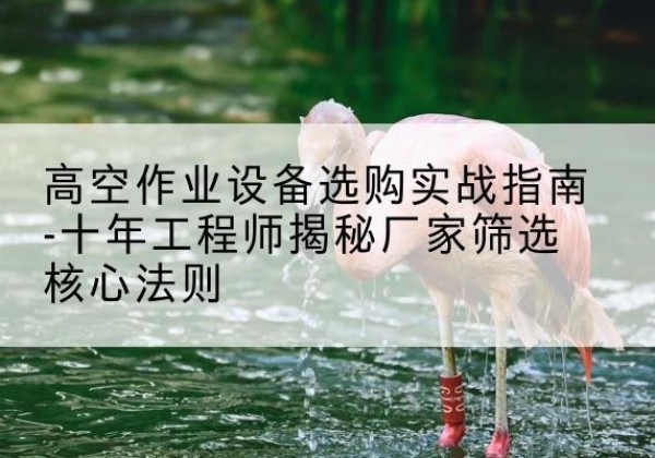 东河剪叉式升降机厂家-高空作业设备选购实战指南-十年工程师揭秘厂家筛选核心法则